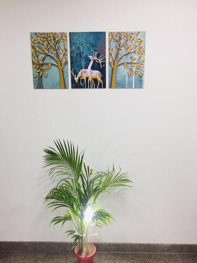 The Magnum Bed & Breakfast New Delhi Luaran gambar